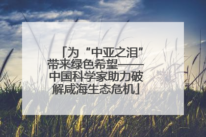 为“中亚之泪”带来绿色希望——中国科学家助力破解咸海生态危机