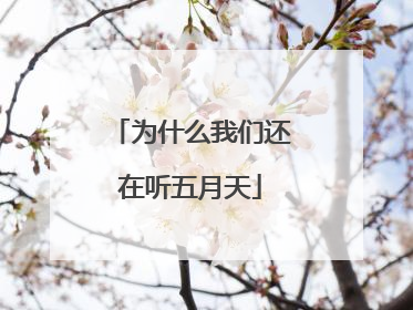 为什么我们还在听五月天