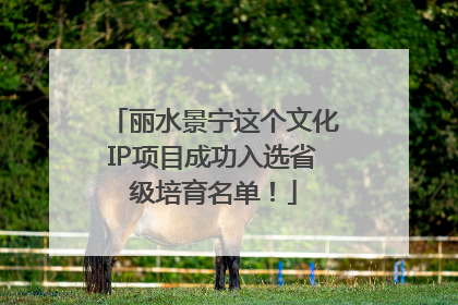 丽水景宁这个文化IP项目成功入选省级培育名单！