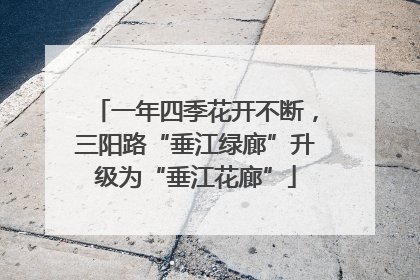 一年四季花开不断，三阳路“垂江绿廊”升级为“垂江花廊”