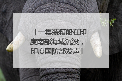 一集装箱船在印度南部海域沉没，印度国防部发声