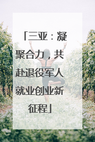 三亚：凝聚合力，共赴退役军人就业创业新征程