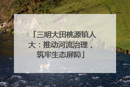 三明大田桃源镇人大：推动河流治理，筑牢生态屏障