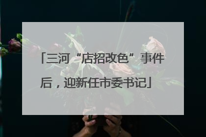 三河“店招改色”事件后，迎新任市委书记