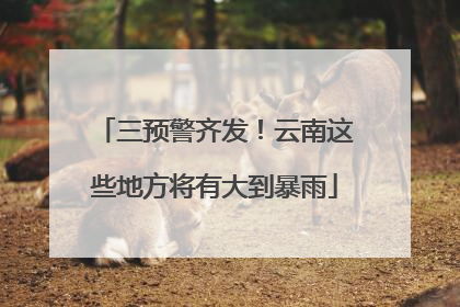 三预警齐发！云南这些地方将有大到暴雨