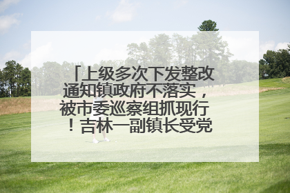 上级多次下发整改通知镇政府不落实，被市委巡察组抓现行！吉林一副镇长受党内警告处分