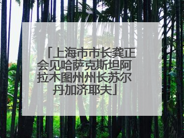上海市市长龚正会见哈萨克斯坦阿拉木图州州长苏尔丹加济耶夫