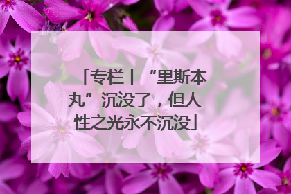 专栏丨“里斯本丸”沉没了，但人性之光永不沉没