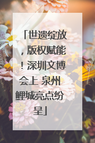 世遗绽放，版权赋能！深圳文博会上 泉州鲤城亮点纷呈