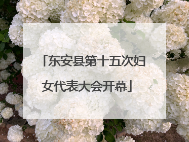 东安县第十五次妇女代表大会开幕