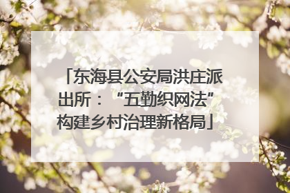 东海县公安局洪庄派出所：“五勤织网法”构建乡村治理新格局