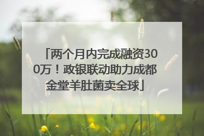 两个月内完成融资300万！政银联动助力成都金堂羊肚菌卖全球