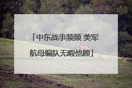 中东战事频频 美军航母编队无暇他顾