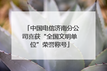 中国电信济南分公司喜获“全国文明单位”荣誉称号