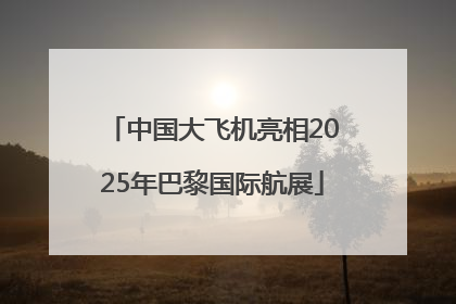 中国大飞机亮相2025年巴黎国际航展