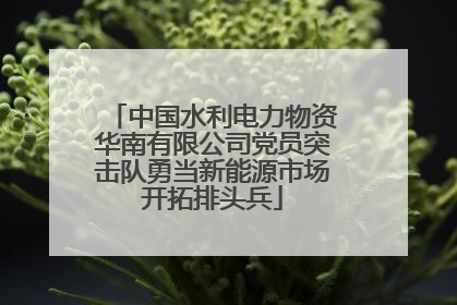 中国水利电力物资华南有限公司党员突击队勇当新能源市场开拓排头兵