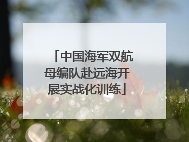 中国海军双航母编队赴远海开展实战化训练