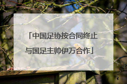 中国足协按合同终止与国足主帅伊万合作