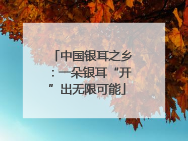 中国银耳之乡：一朵银耳“开”出无限可能