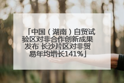 中国（湖南）自贸试验区对非合作创新成果发布 长沙片区对非贸易年均增长141%
