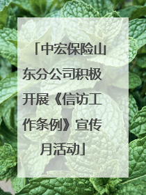 中宏保险山东分公司积极开展《信访工作条例》宣传月活动
