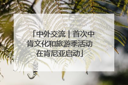 中外交流｜首次中肯文化和旅游季活动在肯尼亚启动