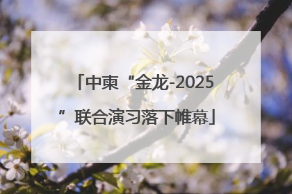 中柬“金龙-2025”联合演习落下帷幕