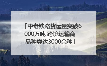 中老铁路货运量突破6000万吨 跨境运输商品种类达3000余种