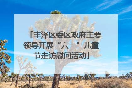 丰泽区委区政府主要领导开展“六一”儿童节走访慰问活动