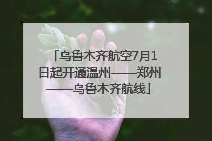 乌鲁木齐航空7月1日起开通温州——郑州——乌鲁木齐航线