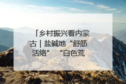 乡村振兴看内蒙古｜盐碱地“舒筋活络” “白色荒漠”长出吨粮田