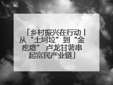 乡村振兴在行动丨从“土坷垃”到“金疙瘩” 卢龙甘薯串起富民产业链