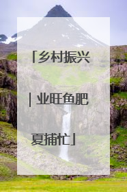 乡村振兴｜业旺鱼肥夏捕忙