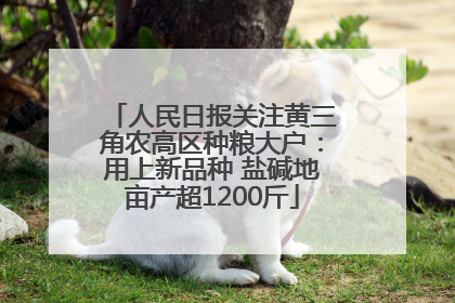 人民日报关注黄三角农高区种粮大户：用上新品种 盐碱地亩产超1200斤