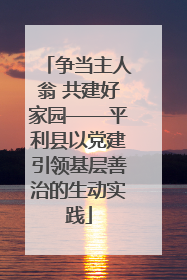 争当主人翁 共建好家园——平利县以党建引领基层善治的生动实践