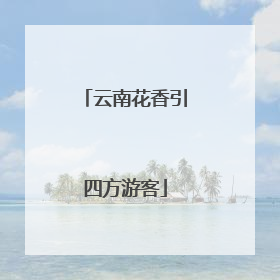 云南花香引四方游客