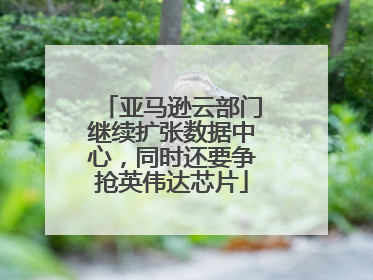 亚马逊云部门继续扩张数据中心，同时还要争抢英伟达芯片