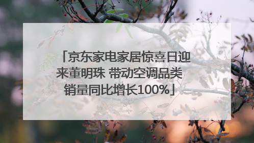 京东家电家居惊喜日迎来董明珠 带动空调品类销量同比增长100%