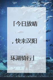 今日放晴，快来汉阳环湖骑行