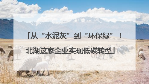 从“水泥灰”到“环保绿”！北湖这家企业实现低碳转型