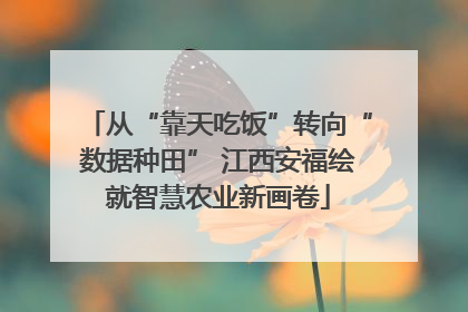 从“靠天吃饭”转向“数据种田” 江西安福绘就智慧农业新画卷