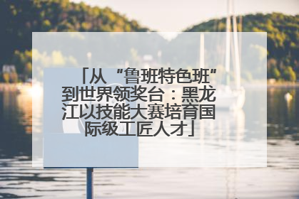从“鲁班特色班”到世界领奖台：黑龙江以技能大赛培育国际级工匠人才