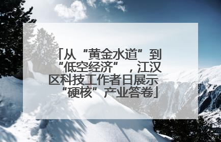 从“黄金水道”到“低空经济”，江汉区科技工作者日展示“硬核”产业答卷
