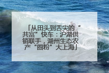 从田头到舌尖的“共富”快车：沪湖供销联手，湖州生态农产“圈粉”大上海