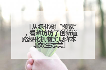 从绿化树“搬家”，看潍坊坊子创新道路绿化机制实现降本增效生态美