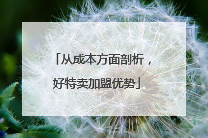 从成本方面剖析,好特卖加盟优势