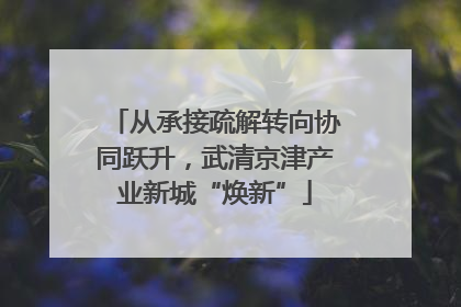 从承接疏解转向协同跃升，武清京津产业新城“焕新”