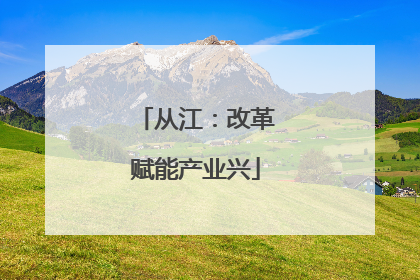 从江：改革赋能产业兴