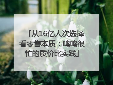 从16亿人次选择看零售本质：鸣鸣很忙的质价比实践