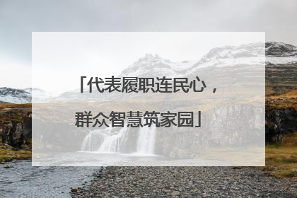 代表履职连民心，群众智慧筑家园